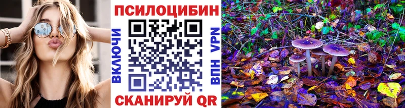 Галлюциногенные грибы мухоморы  цена наркотик  Нижний Тагил 